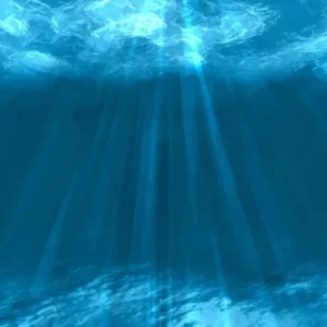 1-53342485152011-66286438088971.jpeg