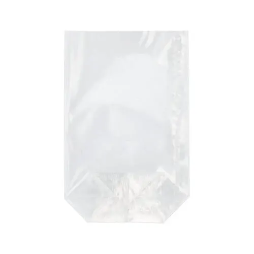 Ein transparenter, rechteckiger Starpak 300 Bodenbeutel von Starpak mit flachem Boden und versiegelten Seitenkanten ist leer abgebildet und vor einem schlichten weißen Hintergrund fotografiert.