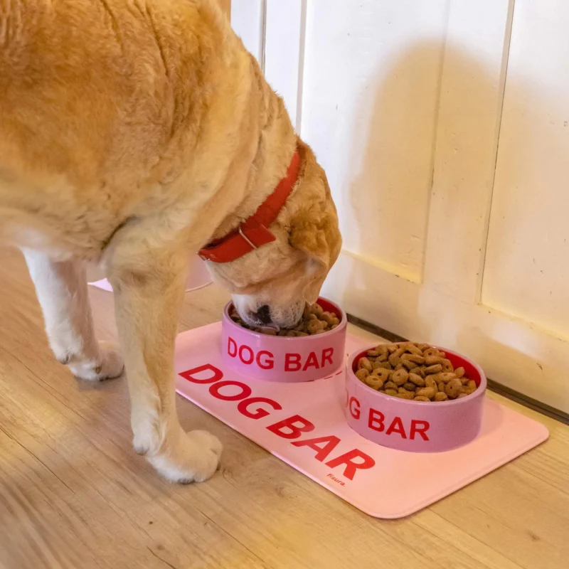 Napfunterlage "Dog Bar" – Rosa · Silikon · 49,5×26,5 cm | Fisura