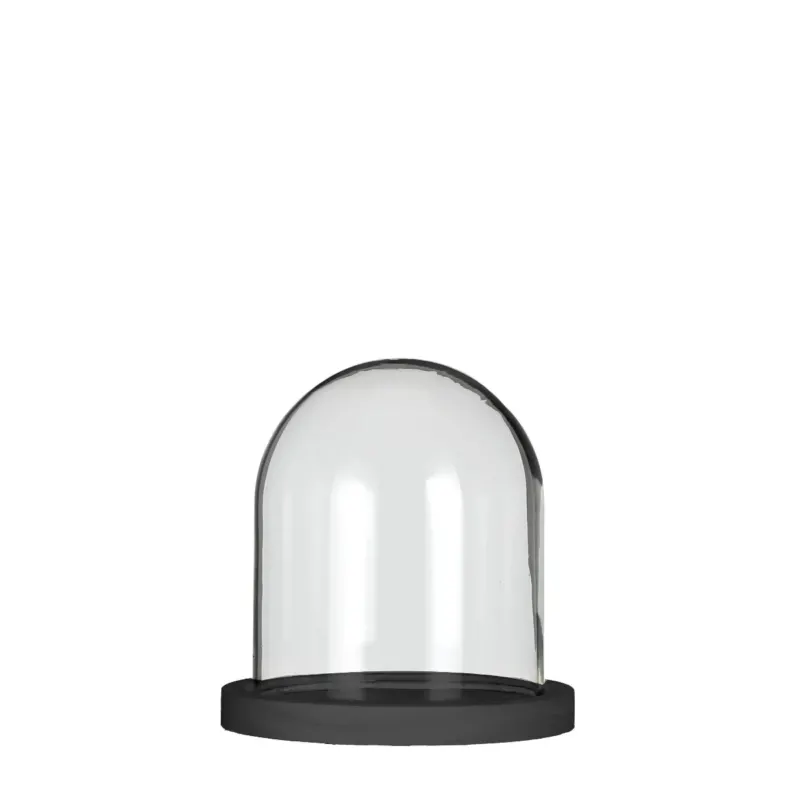 Glass bell jar with black wooden base Ø12cm H: 13cm (1 pcs.)