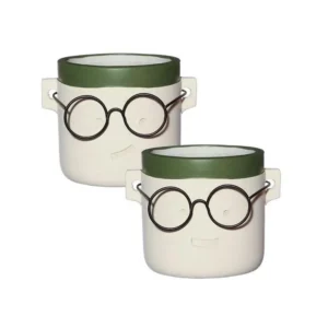 Plant pot with glasses 2 ass. Ø14 h.13,5 cm (6 Pcs)