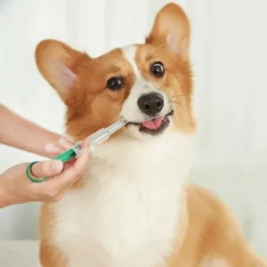 Easy Pet Medicine Feeding Syringe - Image 0