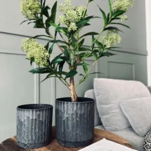 Pflanztöpfe im Beton-Look - Set mit 2 Stück