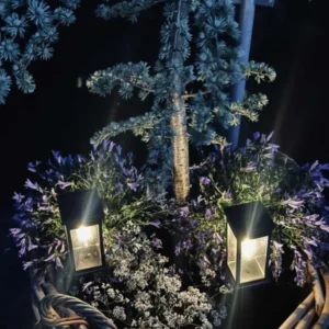 Gartenlampe MIRA mit Solar – Set mit 2 Stück.