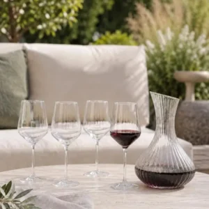 Karaffen-Set aus Glas (5 Teile) – Karaffe und Weinglas