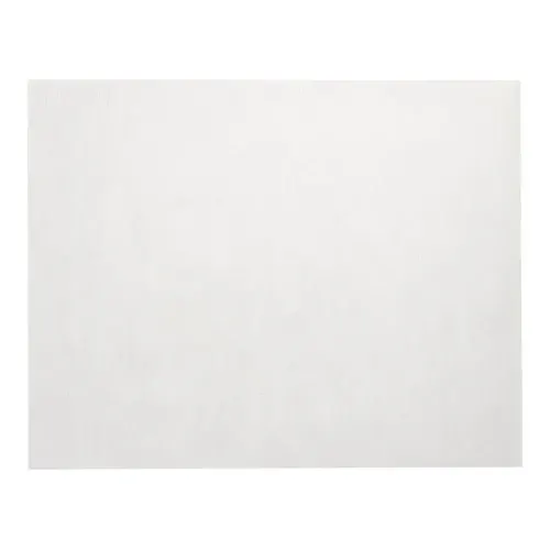 Ein Starpak 100 Tischsets, stoffähnlich, Vlies „Soft Selection“ (30 x 40 cm) ist vor einem weißen Hintergrund abgebildet, seine schlichte Oberfläche unterstreicht die minimalistische Eleganz, perfekt für moderne Tischdekorationen.