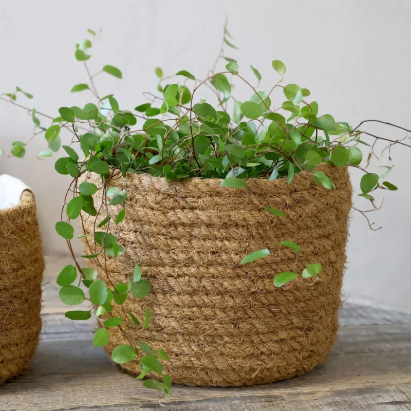 Korb aus Geflecht – Verschiedene Größen – Chic Antique