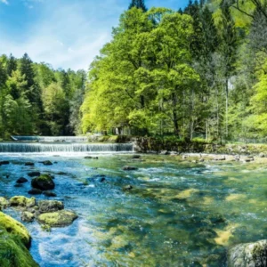 Duschrückwand-Sonnige Flusslandschaft in der Schweiz