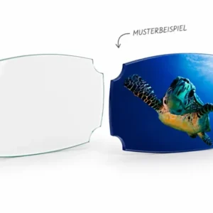 Glasscheibe "Designform 6mm Float" diverse Größen