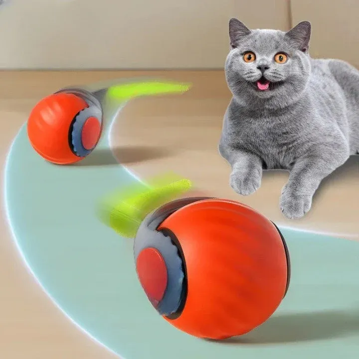 Forever Run Motion Cat Play Ball Toy - Image 0