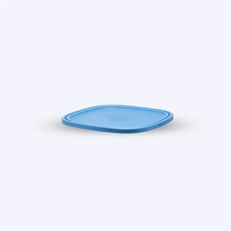 Freshbox - Couvercle Bleu carré - 23cm
