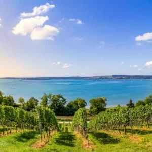 Küchenrückwand-Bodensee Panorama in Birnau