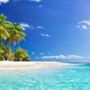 Küchenrückwand-Tropisches Paradies mit strahlend blauem Himmel und palmenumsäumtem Strand
