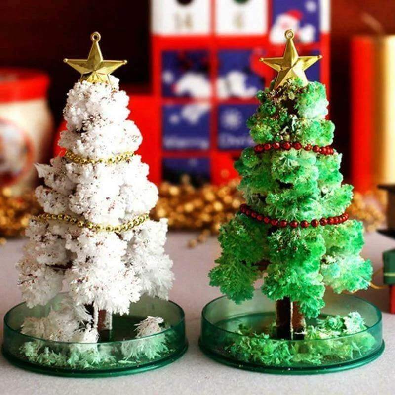DIY Magic Growing Christmas Tree - Image 0
