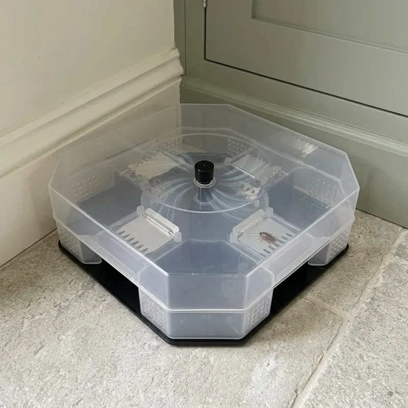 Dead End Insect Trap Catcher Box