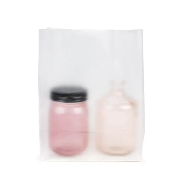 Block Bottom Bags w/ Paper Insert Frosted 17.8x10.2x22.9 cm