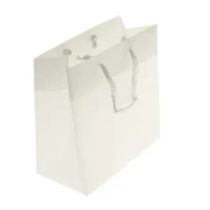 Gift Bags 16x7.6x16cm with carrying Cords