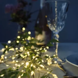 Lyskæde gennemsigtig wire med 80 LED Lys - VIAMAJA.DK