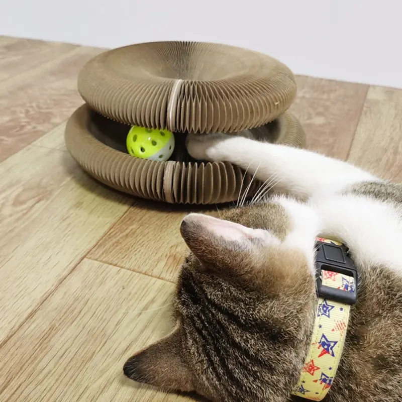 Cat Magic Foldable Scratch Toy Board - Image 0